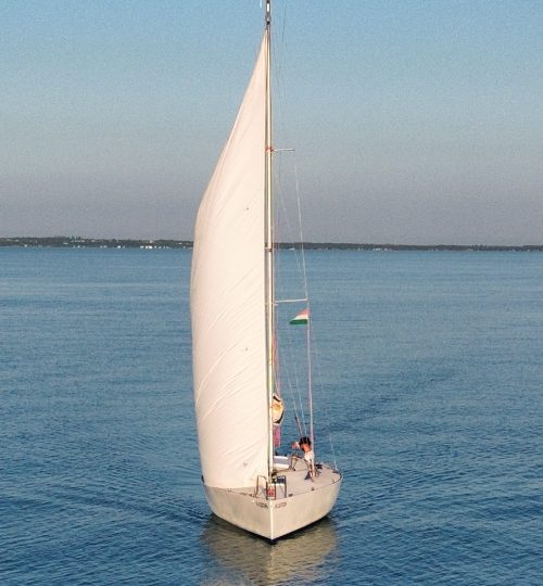 kivágott
